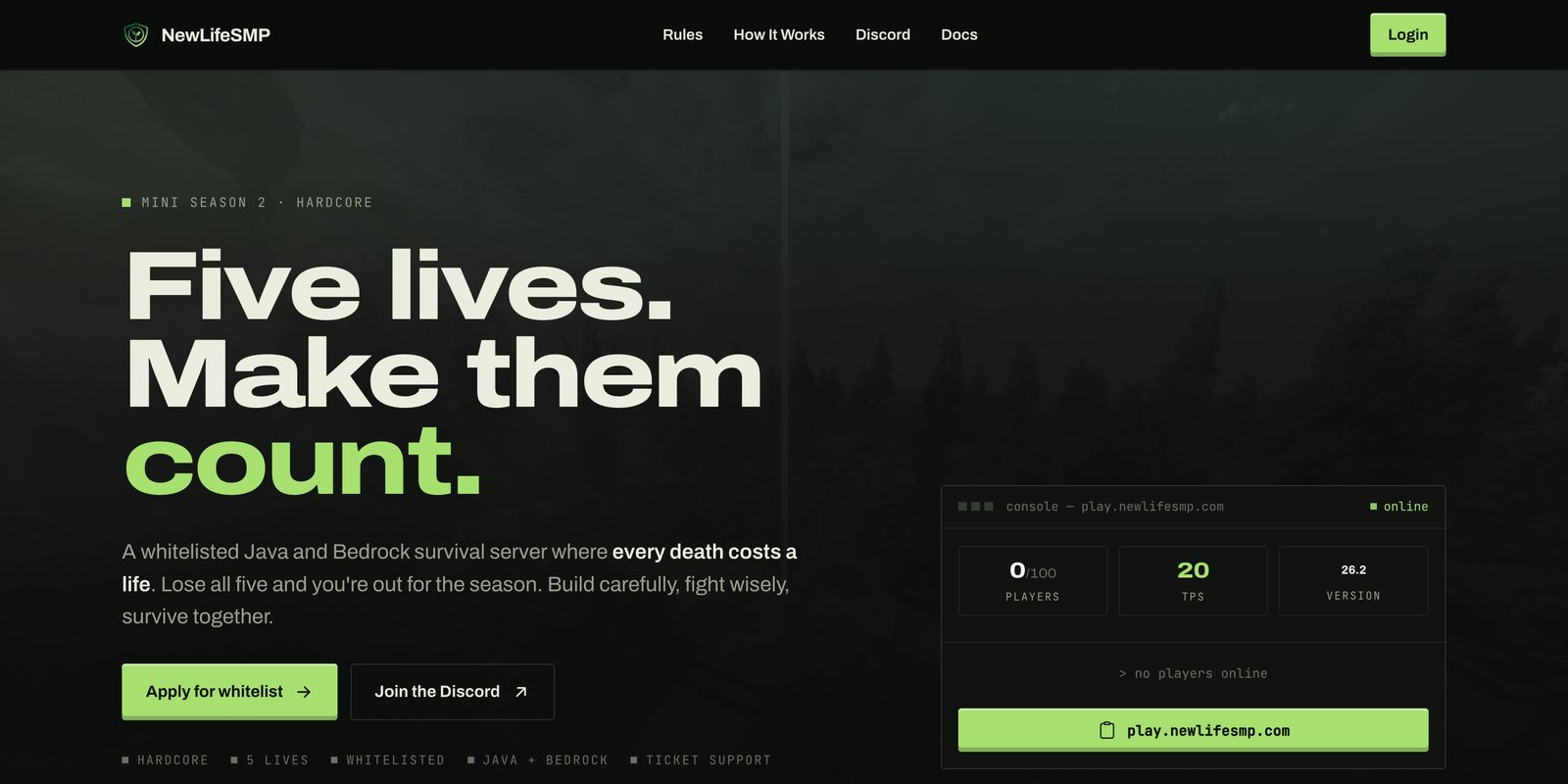 NewLife SMP home page with live server status.